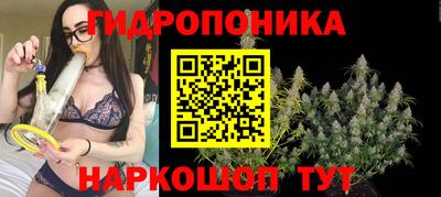 стафф Свободный