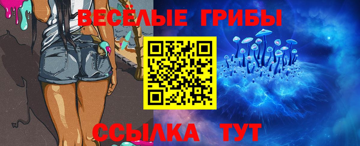 Петрозаводск  Галлюциногенные грибы MAGIC MUSHROOMS  Псилоцибиновые грибы Psilocybine cubensis  Вход с VPN 