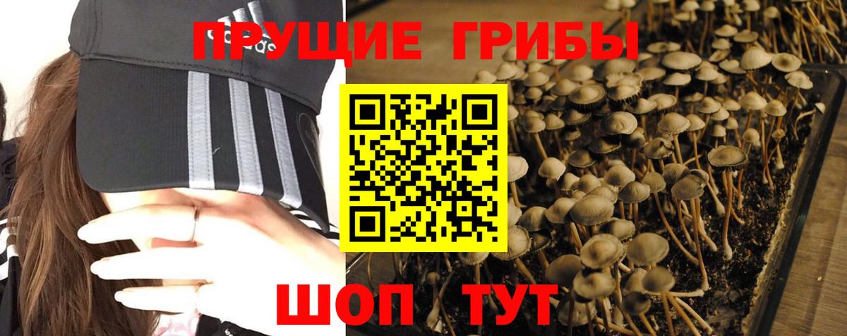 Галлюциногенные грибы MAGIC MUSHROOMS Петрозаводск